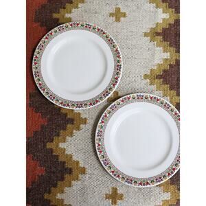 1970's Vintage Royal Doulton "Fireglow" Tulip  Set of 2 Bread or Dessert Plates